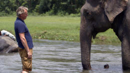 Martin Clunes and elephant